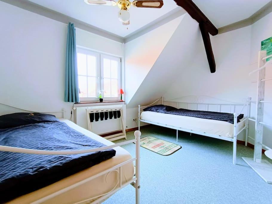 Ruhiges Exzellenz-Appartement Diana Im Elb-Urstromtal - Fast Wlan, Good For Long-Terms Bleckede Extérieur photo