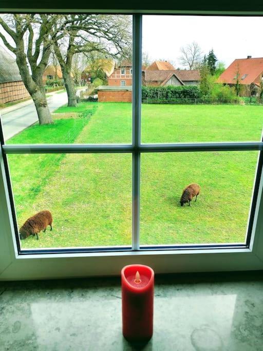 Ruhiges Exzellenz-Appartement Diana Im Elb-Urstromtal - Fast Wlan, Good For Long-Terms Bleckede Extérieur photo